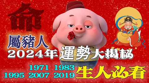 1995屬豬|【1995年出生】1995年出生屬豬，命運如何？五行屬什麼？今年。